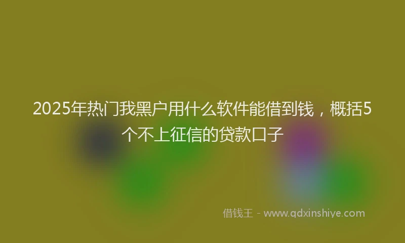 2025年热门我黑户用什么软件能借到钱，概括5个不上征信的贷款口子