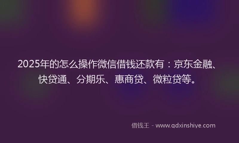 2025年的怎么操作微信借钱还款有：京东金融、快贷通、分期乐、惠商贷、微粒贷等。