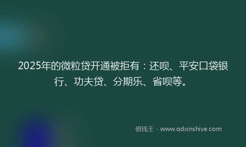 2025年的微粒贷开通被拒有：还呗、平安口袋银行、功夫贷、分期乐、省呗等。