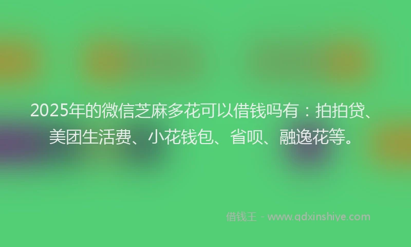 2025年的微信芝麻多花可以借钱吗有：拍拍贷、美团生活费、小花钱包、省呗、融逸花等。