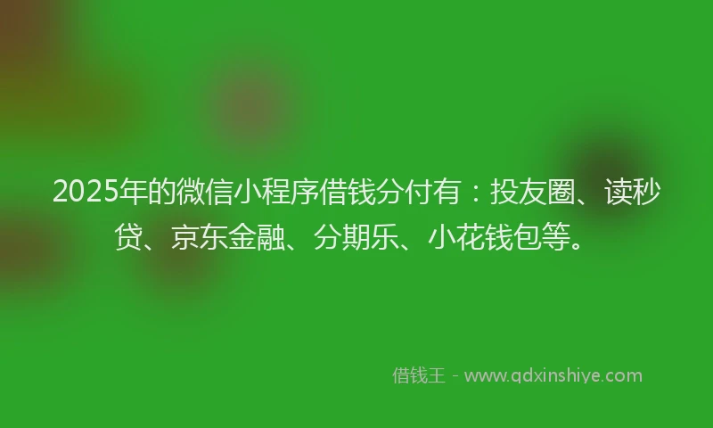 2025年的微信小程序借钱分付有：投友圈、读秒贷、京东金融、分期乐、小花钱包等。