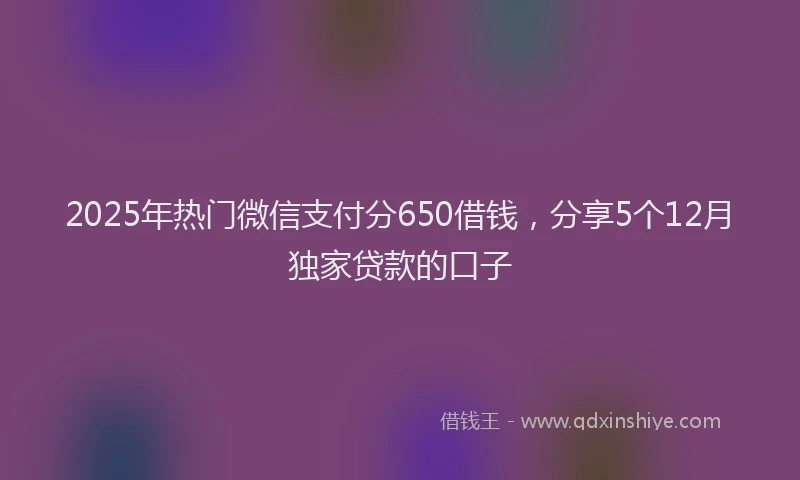2025年热门微信支付分650借钱，分享5个12月独家贷款的口子