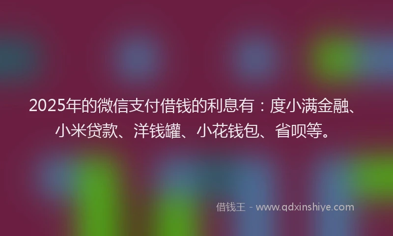 2025年的微信支付借钱的利息有：度小满金融、小米贷款、洋钱罐、小花钱包、省呗等。