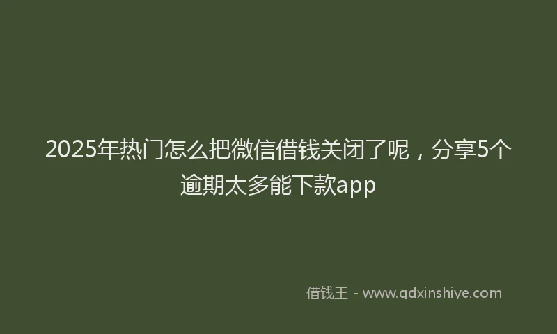 2025年热门怎么把微信借钱关闭了呢，分享5个逾期太多能下款app