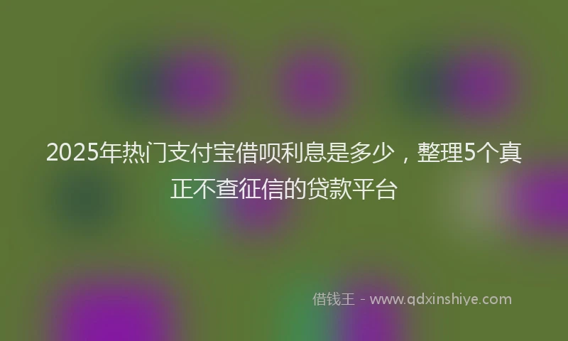 2025年热门支付宝借呗利息是多少，整理5个真正不查征信的贷款平台
