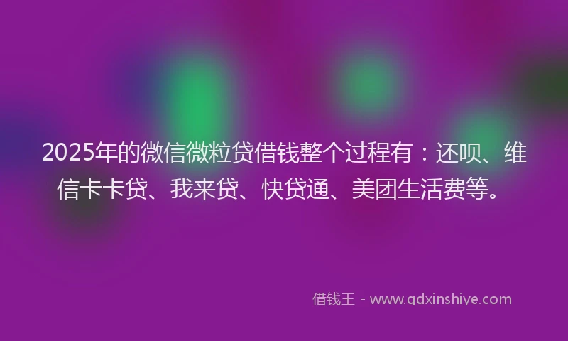 2025年的微信微粒贷借钱整个过程有：还呗、维信卡卡贷、我来贷、快贷通、美团生活费等。
