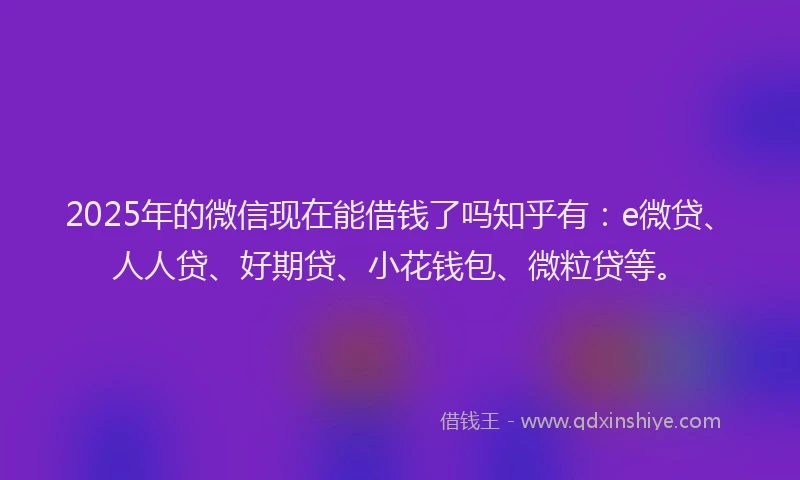 2025年的微信现在能借钱了吗知乎有：e微贷、人人贷、好期贷、小花钱包、微粒贷等。