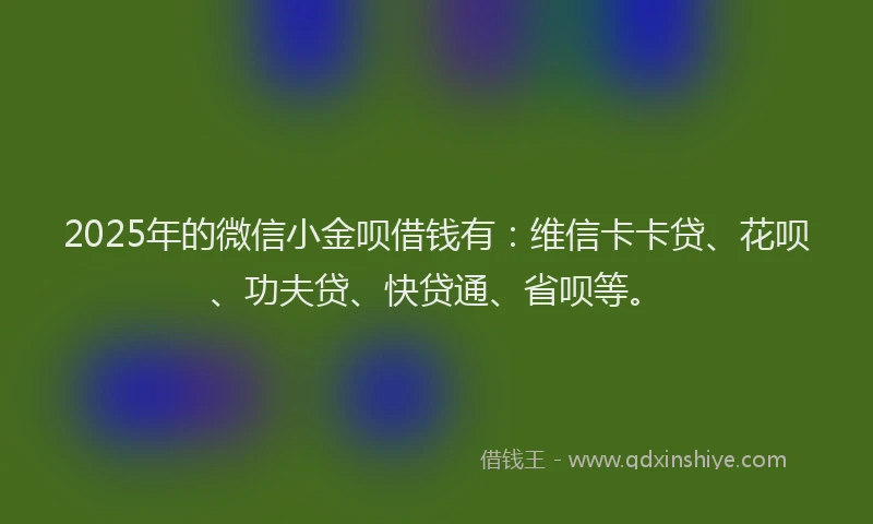 2025年的微信小金呗借钱有：维信卡卡贷、花呗、功夫贷、快贷通、省呗等。