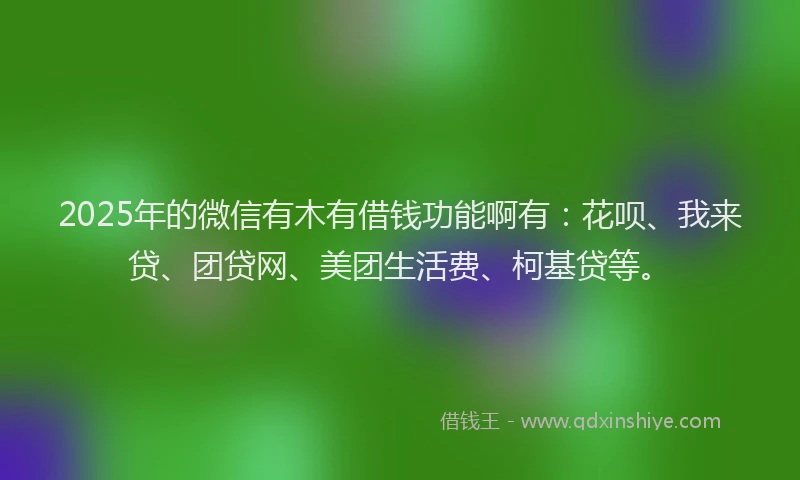 2025年的微信有木有借钱功能啊有：花呗、我来贷、团贷网、美团生活费、柯基贷等。