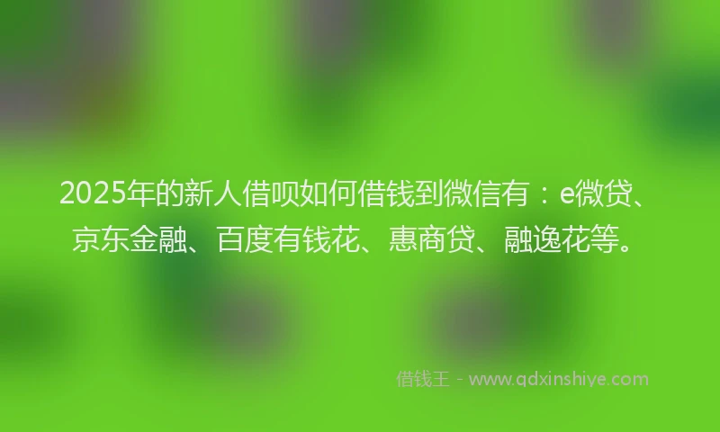 2025年的新人借呗如何借钱到微信有：e微贷、京东金融、百度有钱花、惠商贷、融逸花等。