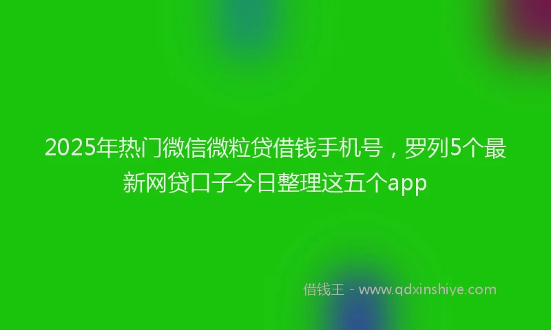 2025年热门微信微粒贷借钱手机号，罗列5个最新网贷口子今日整理这五个app