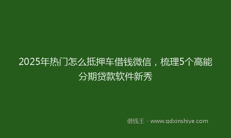 2025年热门怎么抵押车借钱微信，梳理5个高能分期贷款软件新秀