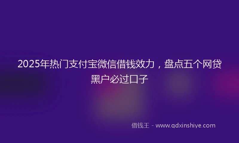 2025年热门支付宝微信借钱效力，盘点五个网贷黑户必过口子