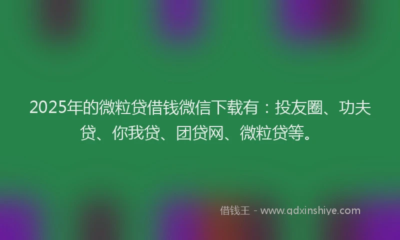 2025年的微粒贷借钱微信下载有：投友圈、功夫贷、你我贷、团贷网、微粒贷等。