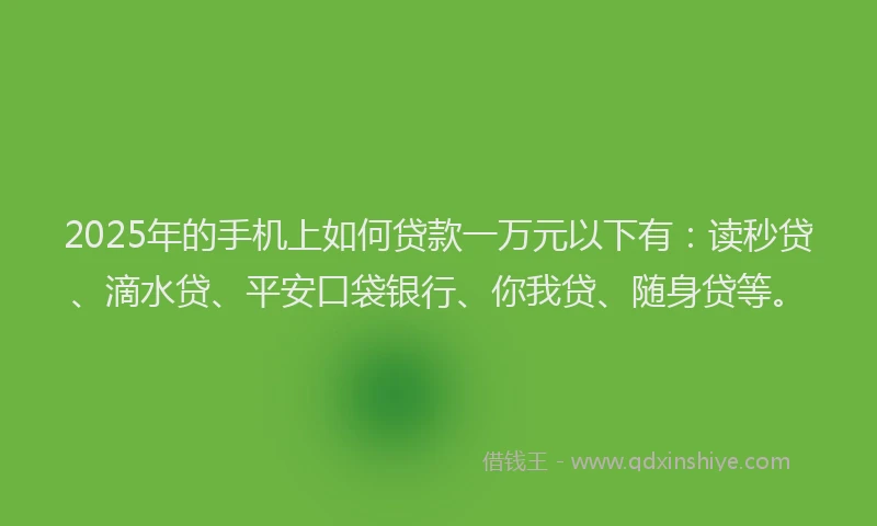 2025年的手机上如何贷款一万元以下有：读秒贷、滴水贷、平安口袋银行、你我贷、随身贷等。