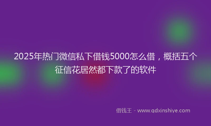 2025年热门微信私下借钱5000怎么借，概括五个征信花居然都下款了的软件