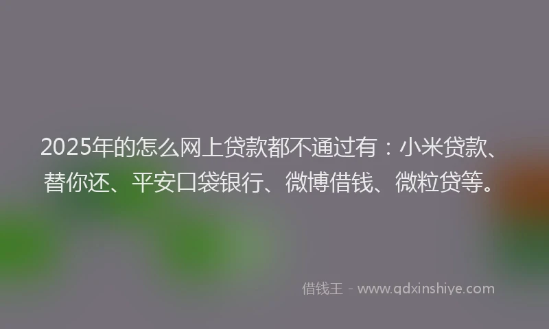 2025年的怎么网上贷款都不通过有：小米贷款、替你还、平安口袋银行、微博借钱、微粒贷等。