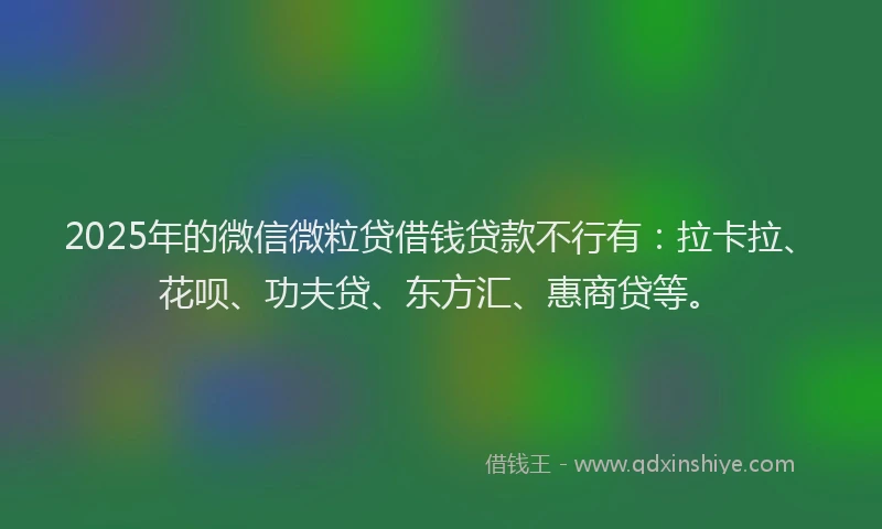 2025年的微信微粒贷借钱贷款不行有：拉卡拉、花呗、功夫贷、东方汇、惠商贷等。