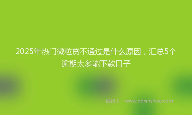 2025年热门微粒贷不通过是什么原因，汇总5个逾期太多能下款口子