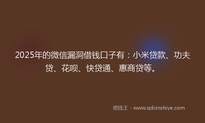 2025年的微信漏洞借钱口子有：小米贷款、功夫贷、花呗、快贷通、惠商贷等。