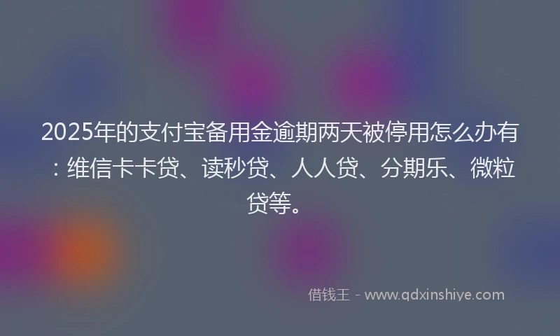 2025年的支付宝备用金逾期两天被停用怎么办有：维信卡卡贷、读秒贷、人人贷、分期乐、微粒贷等。