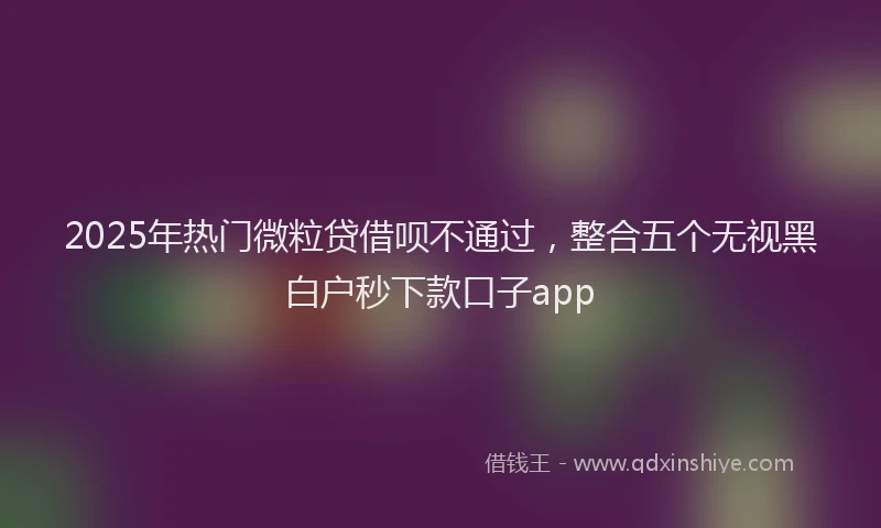 2025年热门微粒贷借呗不通过，整合五个无视黑白户秒下款口子app