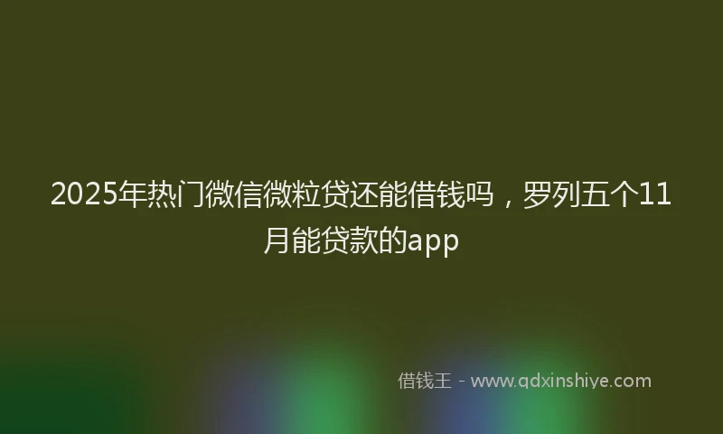 2025年热门微信微粒贷还能借钱吗，罗列五个11月能贷款的app