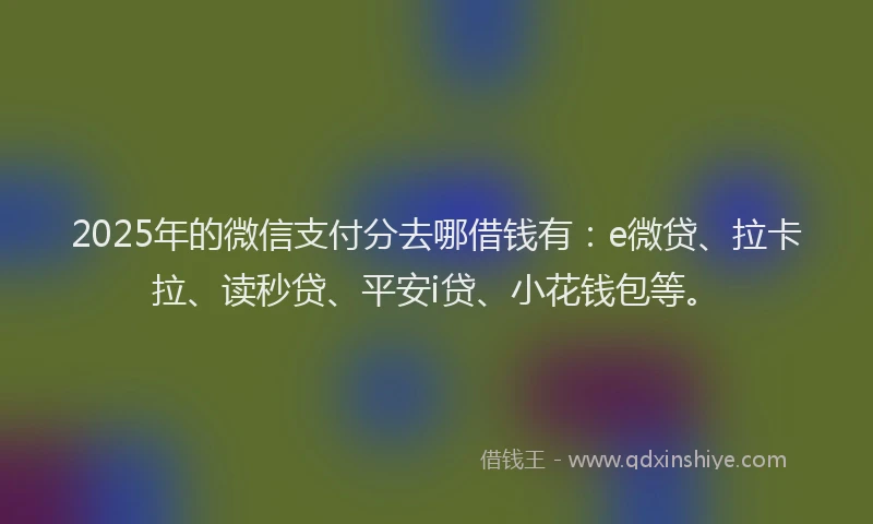2025年的微信支付分去哪借钱有：e微贷、拉卡拉、读秒贷、平安i贷、小花钱包等。
