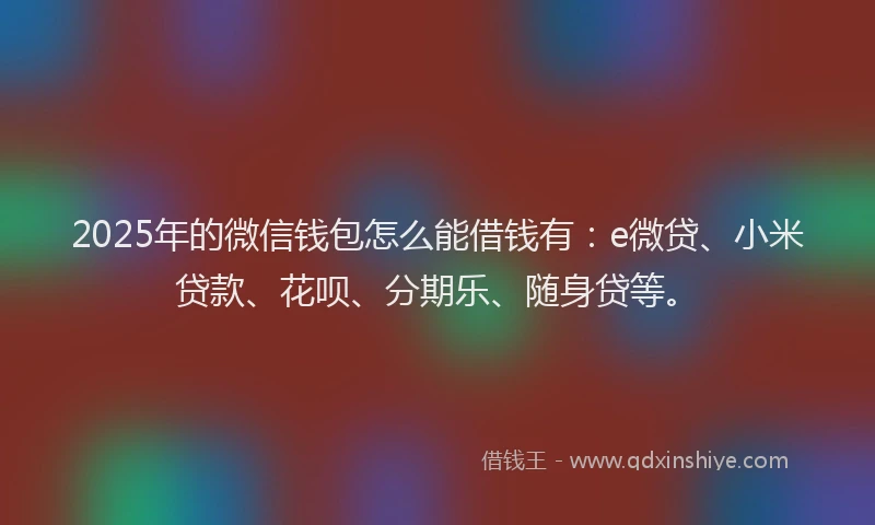 2025年的微信钱包怎么能借钱有：e微贷、小米贷款、花呗、分期乐、随身贷等。