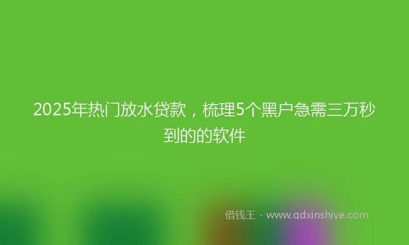 2025年热门放水贷款，梳理5个黑户急需三万秒到的的软件