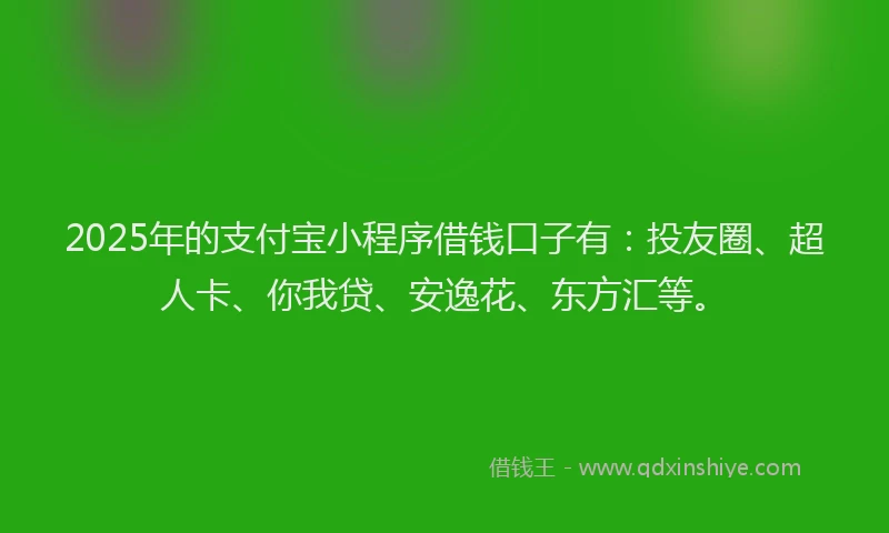 2025年的支付宝小程序借钱口子有：投友圈、超人卡、你我贷、安逸花、东方汇等。