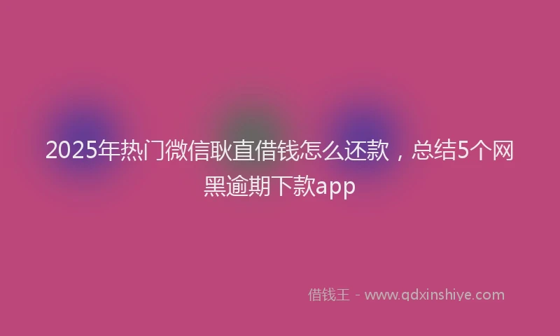 2025年热门微信耿直借钱怎么还款，总结5个网黑逾期下款app