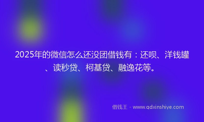 2025年的微信怎么还没团借钱有：还呗、洋钱罐、读秒贷、柯基贷、融逸花等。