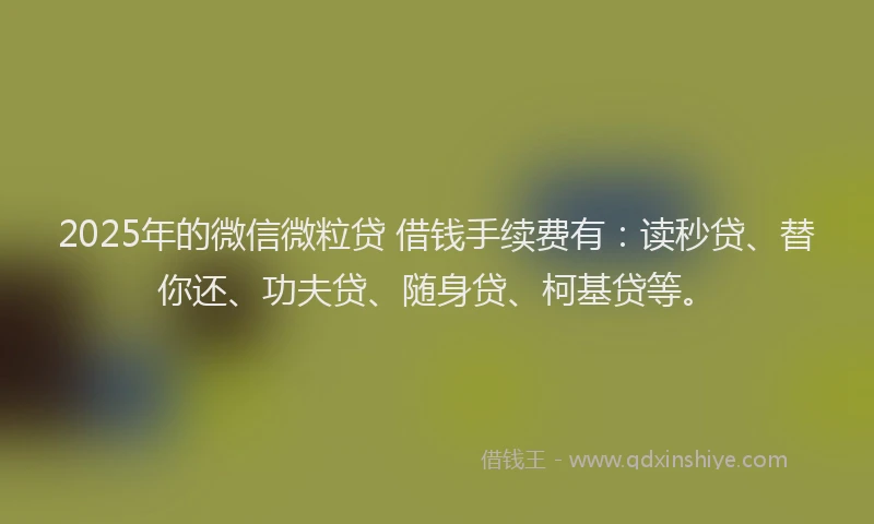 2025年的微信微粒贷 借钱手续费有：读秒贷、替你还、功夫贷、随身贷、柯基贷等。
