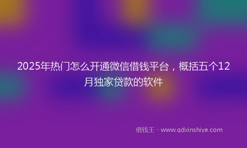2025年热门怎么开通微信借钱平台，概括五个12月独家贷款的软件