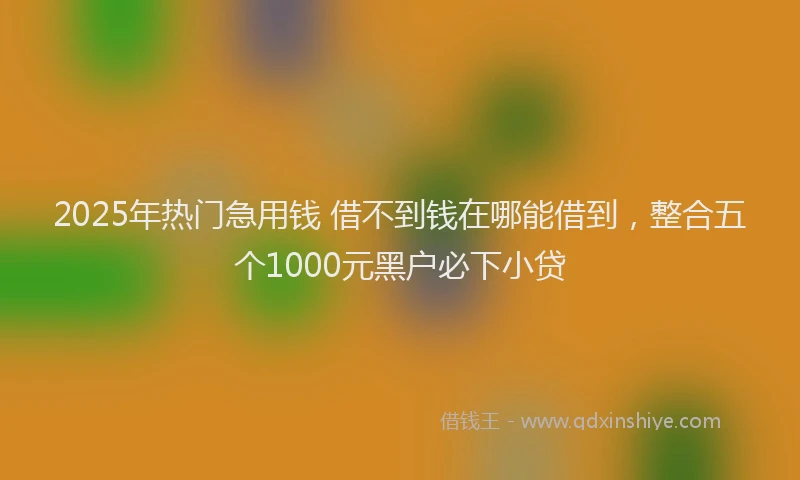 2025年热门急用钱 借不到钱在哪能借到，整合五个1000元黑户必下小贷