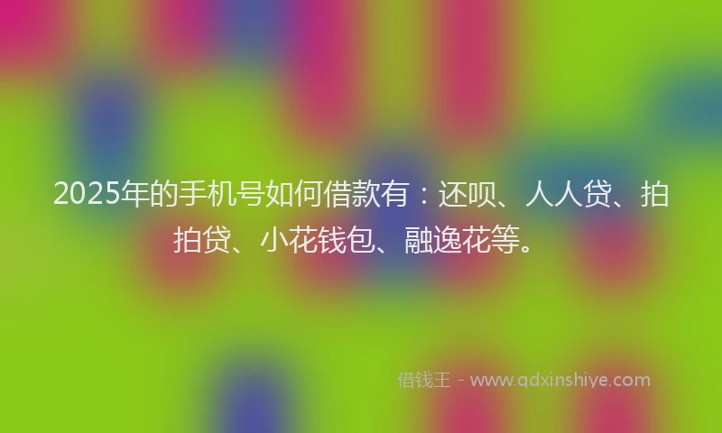 2025年的手机号如何借款有：还呗、人人贷、拍拍贷、小花钱包、融逸花等。