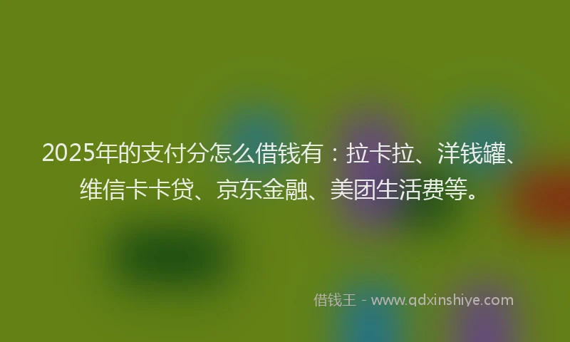 2025年的支付分怎么借钱有：拉卡拉、洋钱罐、维信卡卡贷、京东金融、美团生活费等。