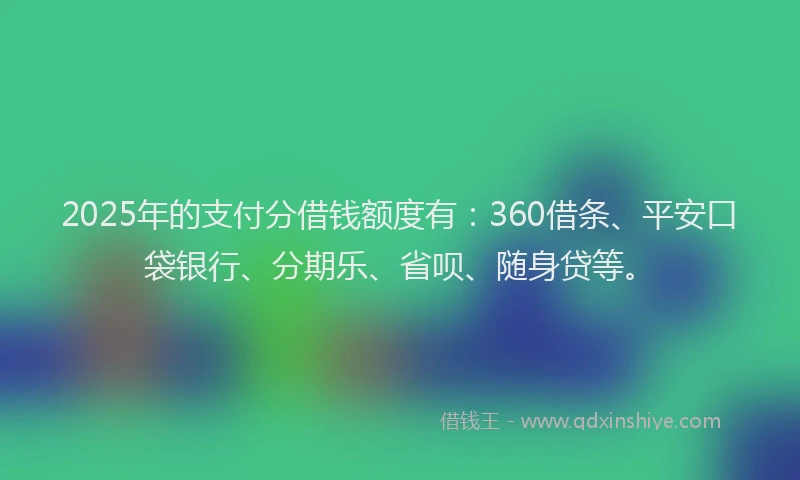 2025年的支付分借钱额度有：360借条、平安口袋银行、分期乐、省呗、随身贷等。