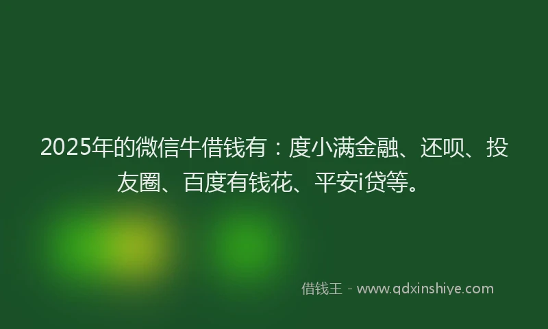 2025年的微信牛借钱有：度小满金融、还呗、投友圈、百度有钱花、平安i贷等。