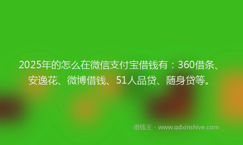 2025年的怎么在微信支付宝借钱有：360借条、安逸花、微博借钱、51人品贷、随身贷等。