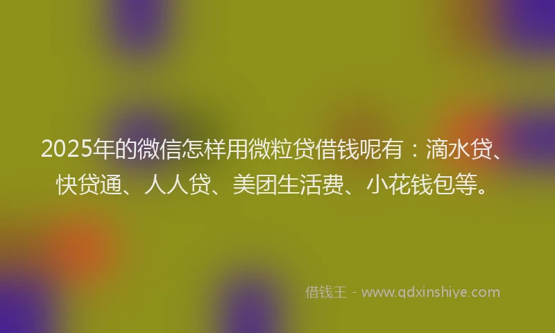 2025年的微信怎样用微粒贷借钱呢有：滴水贷、快贷通、人人贷、美团生活费、小花钱包等。
