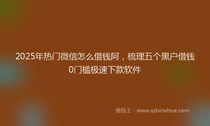 2025年热门微信怎么借钱阿，梳理五个黑户借钱0门槛极速下款软件