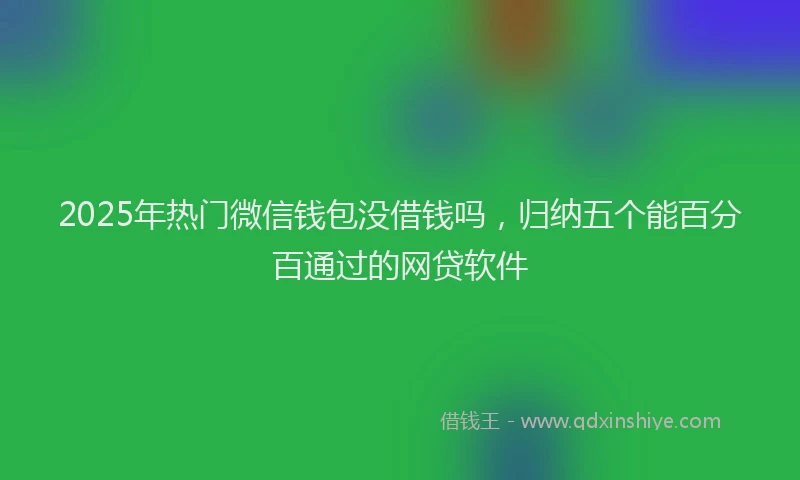 2025年热门微信钱包没借钱吗，归纳五个能百分百通过的网贷软件