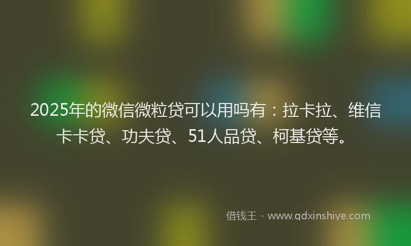 2025年的微信微粒贷可以用吗有：拉卡拉、维信卡卡贷、功夫贷、51人品贷、柯基贷等。