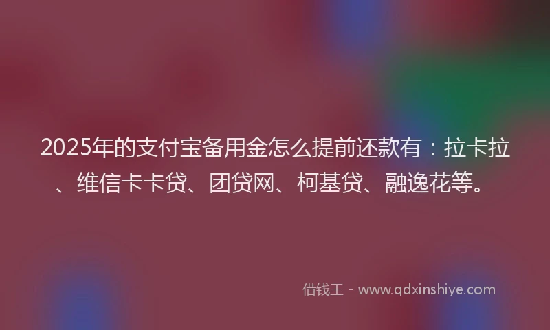 2025年的支付宝备用金怎么提前还款有：拉卡拉、维信卡卡贷、团贷网、柯基贷、融逸花等。