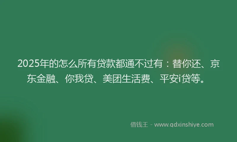 2025年的怎么所有贷款都通不过有：替你还、京东金融、你我贷、美团生活费、平安i贷等。