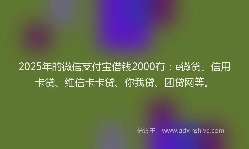 2025年的微信支付宝借钱2000有：e微贷、信用卡贷、维信卡卡贷、你我贷、团贷网等。