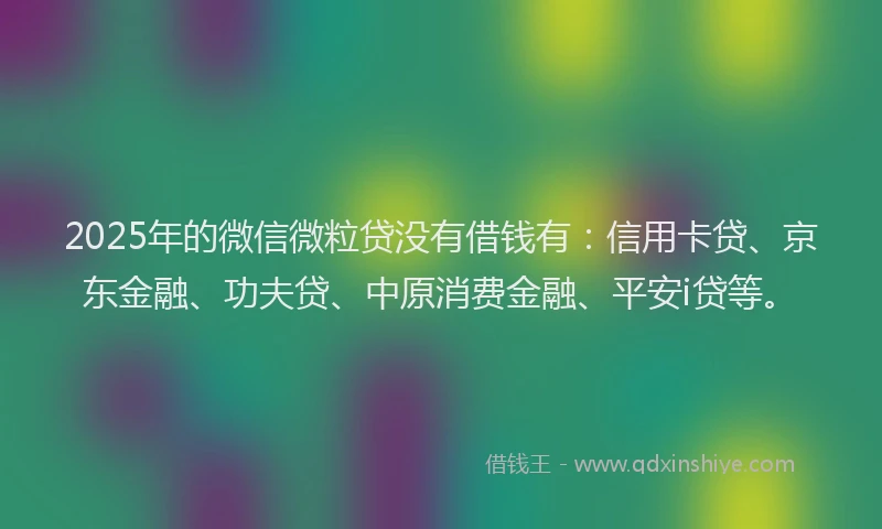 2025年的微信微粒贷没有借钱有：信用卡贷、京东金融、功夫贷、中原消费金融、平安i贷等。