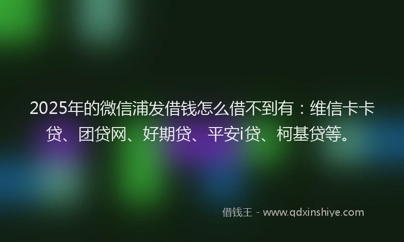 2025年的微信浦发借钱怎么借不到有：维信卡卡贷、团贷网、好期贷、平安i贷、柯基贷等。